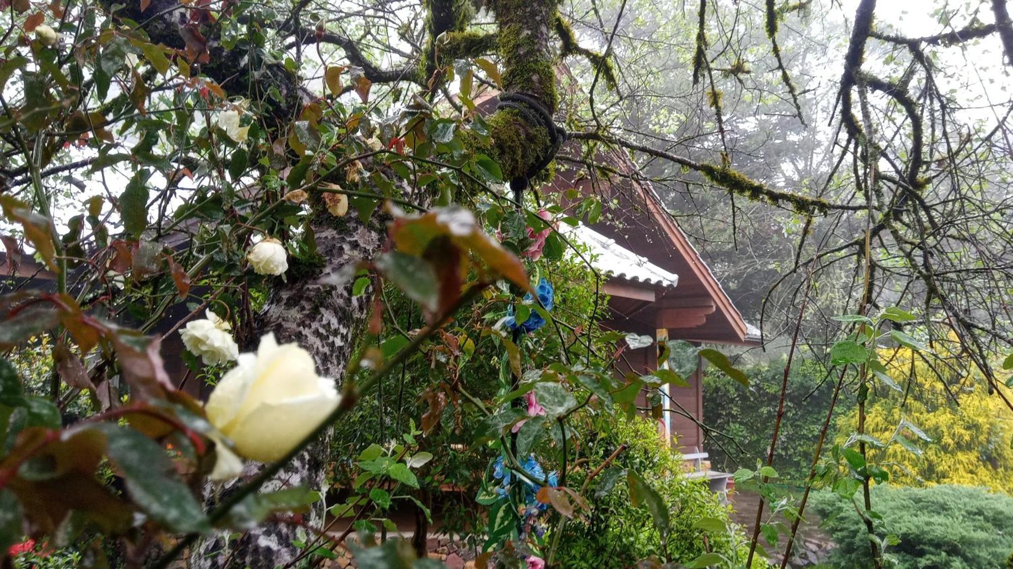 Chale Martinho Villa กรามาโด ภายนอก รูปภาพ